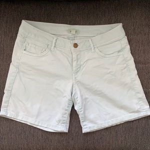 Aerie Mint Shorts